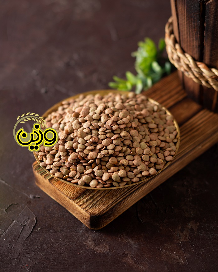 عدس | فروشگاه اینترنتی وزین